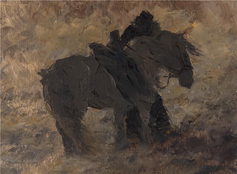 50cm X 40cm 布面油画